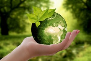 Ekologia a greenwashing